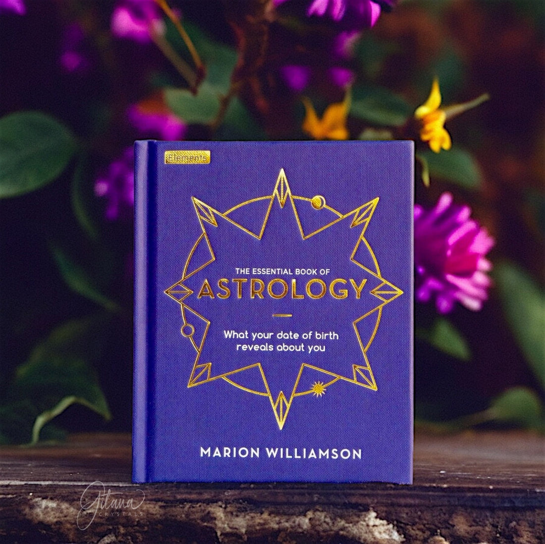 The Essential Book of Astrology