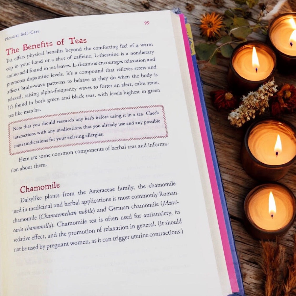 The Witch’s Book Of Self-Care